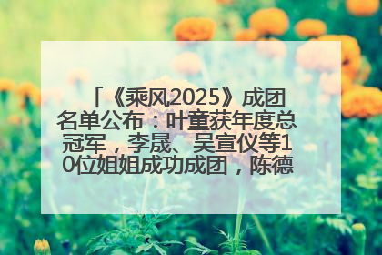 《乘风2025》成团名单公布：叶童获年度总冠军，李晟、吴宣仪等10位姐姐成功成团，陈德容获年度高光人物