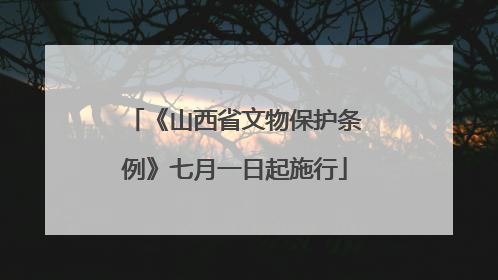 《山西省文物保护条例》七月一日起施行