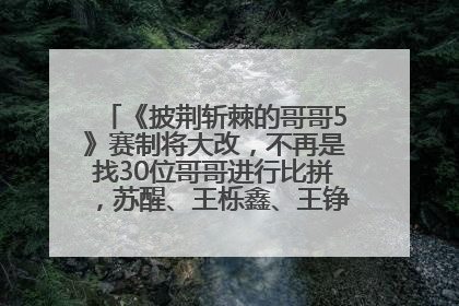 《披荆斩棘的哥哥5》赛制将大改，不再是找30位哥哥进行比拼，苏醒、王栎鑫、王铮亮、张远等多名男团选手被曝将参加