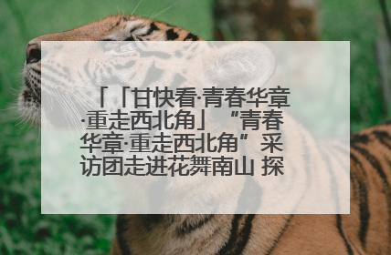 「甘快看·青春华章·重走西北角」“青春华章·重走西北角”采访团走进花舞南山 探寻天水乡村振兴之路