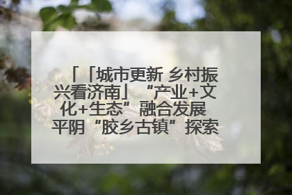 「城市更新 乡村振兴看济南」“产业+文化+生态”融合发展 平阴“胶乡古镇”探索振兴路径成效显著