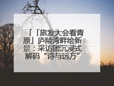 「旅发大会看青原」庐陵湾畔绘新景：采访团沉浸式解码“诗与远方”（图）