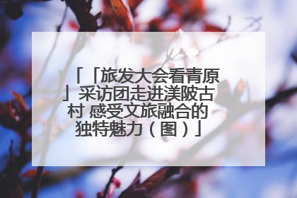 「旅发大会看青原」采访团走进渼陂古村 感受文旅融合的独特魅力（图）