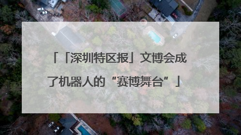 「深圳特区报」文博会成了机器人的“赛博舞台”