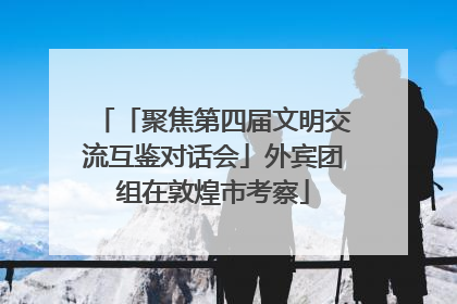 「聚焦第四届文明交流互鉴对话会」外宾团组在敦煌市考察