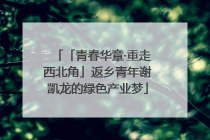 「青春华章·重走西北角」返乡青年谢凯龙的绿色产业梦