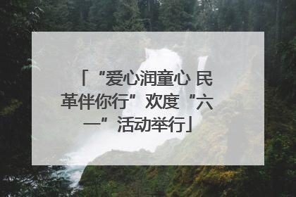 “爱心润童心 民革伴你行”欢度“六一”活动举行
