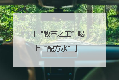“牧草之王”喝上“配方水”