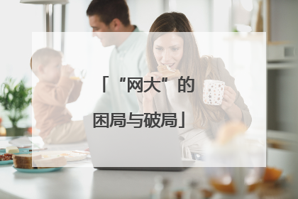 “网大”的困局与破局