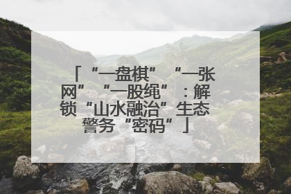 “一盘棋”“一张网”“一股绳”：解锁“山水融治”生态警务“密码”