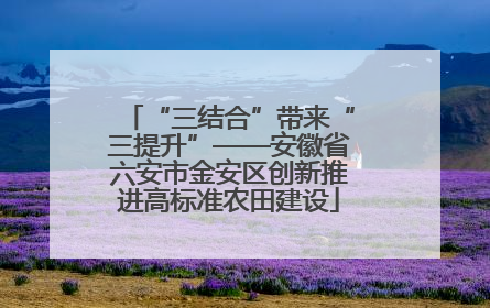 “三结合”带来“三提升”——安徽省六安市金安区创新推进高标准农田建设