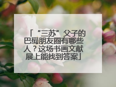 “三苏”父子的巴蜀朋友圈有哪些人？这场书画文献展上能找到答案