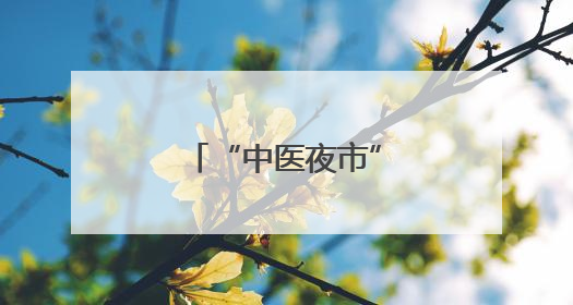 “中医夜市”首秀马耳他