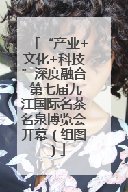 “产业+文化+科技”深度融合 第七届九江国际名茶名泉博览会开幕（组图）