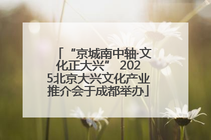 “京城南中轴·文化正大兴” 2025北京大兴文化产业推介会于成都举办