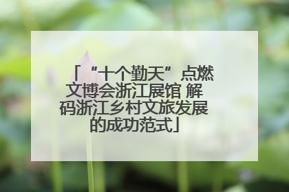 “十个勤天”点燃文博会浙江展馆 解码浙江乡村文旅发展的成功范式