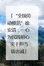 “全国劳动模范”徐安清：一心为民践初心 实干担当铸忠诚