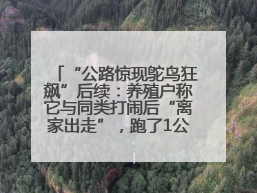 “公路惊现鸵鸟狂飙”后续：养殖户称它与同类打闹后“离家出走”，跑了1公里被找回