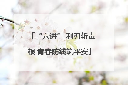 “六进” 利刃斩毒根 青春防线筑平安