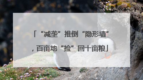 “减垄”推倒“隐形墙”，百亩地“捡”回十亩粮
