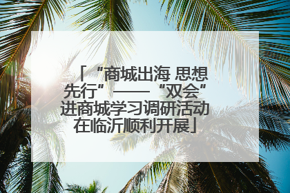 “商城出海 思想先行”——“双会”进商城学习调研活动在临沂顺利开展