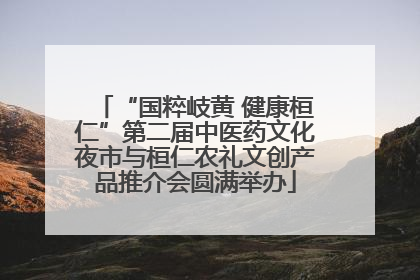 “国粹岐黄 健康桓仁”第二届中医药文化夜市与桓仁农礼文创产品推介会圆满举办