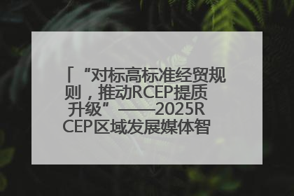 “对标高标准经贸规则，推动RCEP提质升级”——2025RCEP区域发展媒体智库论坛举行专题对话