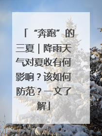 “奔跑”的三夏｜降雨天气对夏收有何影响？该如何防范？一文了解