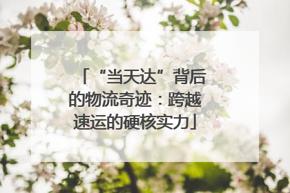 “当天达”背后的物流奇迹：跨越速运的硬核实力