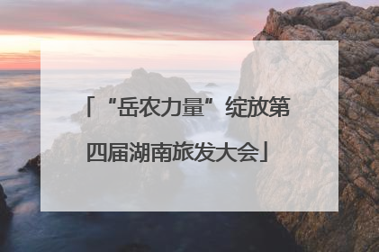 “岳农力量”绽放第四届湖南旅发大会