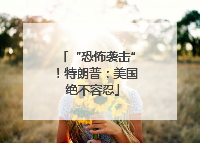 “恐怖袭击”！特朗普：美国绝不容忍