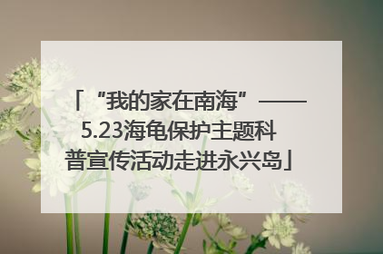 “我的家在南海”——5.23海龟保护主题科普宣传活动走进永兴岛
