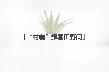 “村咖”飘香田野间