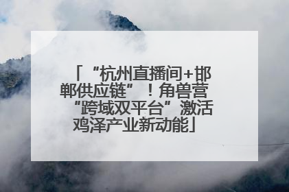 “杭州直播间+邯郸供应链”！角兽营“跨域双平台”激活鸡泽产业新动能