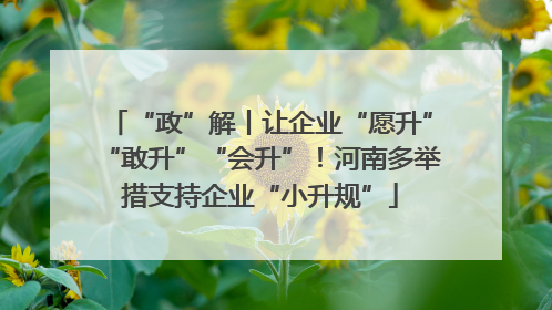 “政”解丨让企业“愿升”“敢升”“会升”！河南多举措支持企业“小升规”
