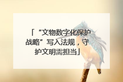 “文物数字化保护战略”写入法规，守护文明需担当