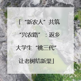 “新农人”共筑“兴农路”：返乡大学生“桃三代”让老树结新果