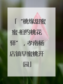 “桃缘甜蜜蜜·相约桃花驿”，孝南杨店镇早蜜桃开园