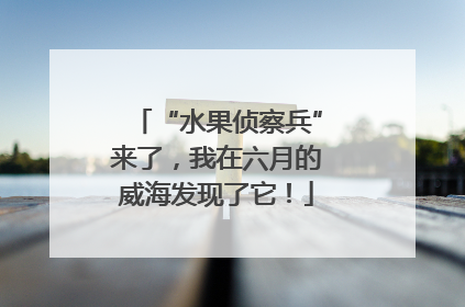 “水果侦察兵”来了，我在六月的威海发现了它！