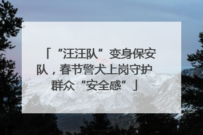 “汪汪队”变身保安队，春节警犬上岗守护群众“安全感”
