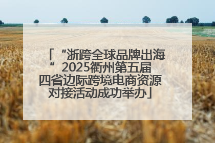 “浙跨全球品牌出海”2025衢州第五届四省边际跨境电商资源对接活动成功举办