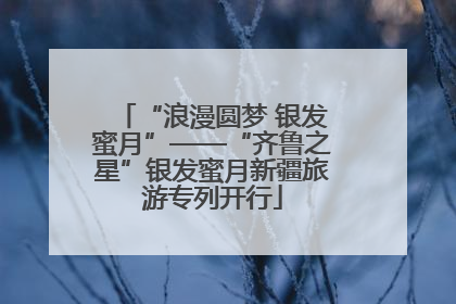 “浪漫圆梦 银发蜜月”——“齐鲁之星”银发蜜月新疆旅游专列开行
