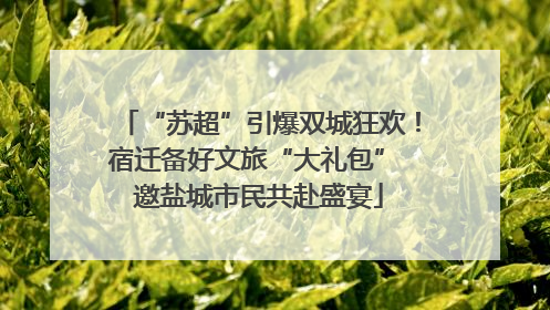 “苏超”引爆双城狂欢！宿迁备好文旅“大礼包” 邀盐城市民共赴盛宴