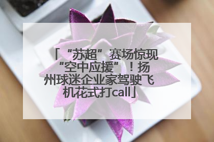 “苏超”赛场惊现 “空中应援”！扬州球迷企业家驾驶飞机花式打call