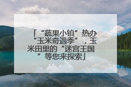 “蔬果小镇”热办“玉米奇遇季”，玉米田里的“迷宫王国”等您来探索