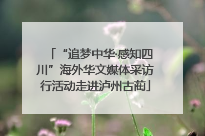 “追梦中华·感知四川”海外华文媒体采访行活动走进泸州古蔺