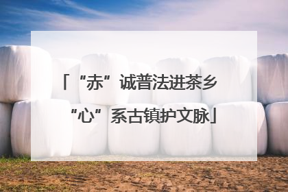 “赤”诚普法进茶乡 “心”系古镇护文脉