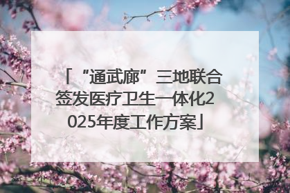 “通武廊”三地联合签发医疗卫生一体化2025年度工作方案