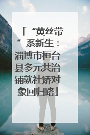 “黄丝带”系新生：淄博市桓台县多元共治铺就社矫对象回归路
