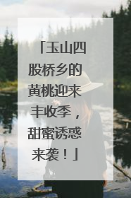 玉山四股桥乡的黄桃迎来丰收季，甜蜜诱惑来袭！